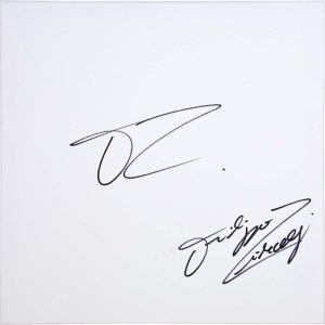 Vendita online opera dal titolo “La cosa in sé 10B” realizzata dall'artista contemporaneo Filippo Circelli